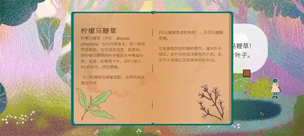 茶杯物语图片10