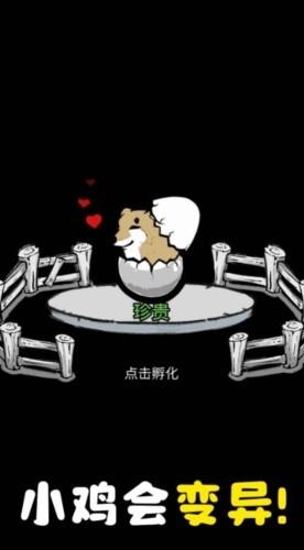 养鸡时长两年半 最新版v1.0.1截图3
