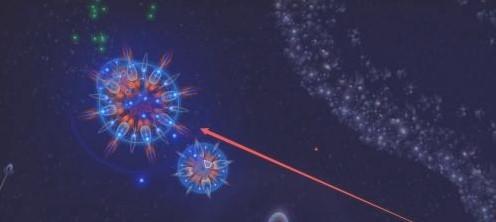 microcosmum4