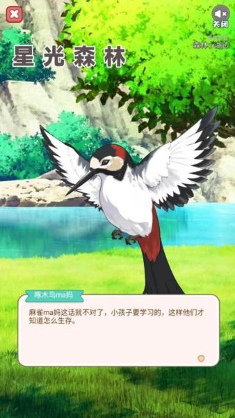 星光森林2