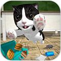 猫咪模拟器汉化版 安卓最新版v5.0.8