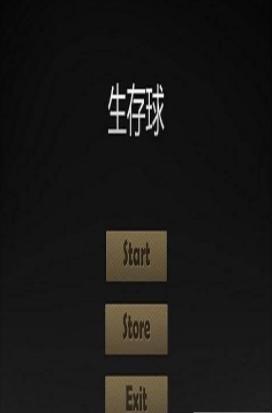 生存球截图2