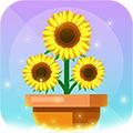 空闲植物花园 安卓版v1.0.8