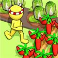 泡菜市场 安卓版v1.4.2