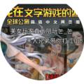 我在文字游戏的游戏里学游戏无限鲜花版 最新版v1.0.0