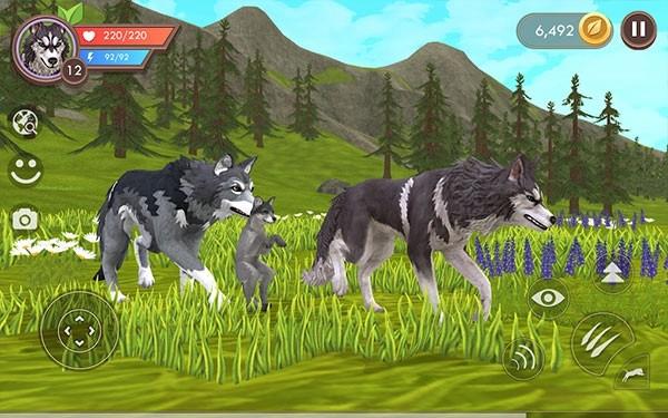 WildCraft官方正版 安卓版v29.1截图2