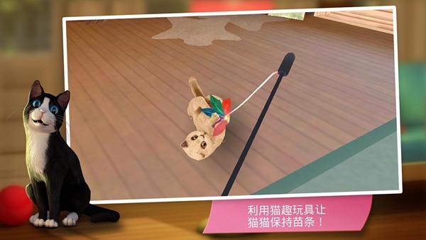 猫舍 安卓版v2.1.10截图3