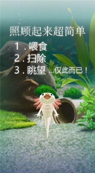 治愈的蝾螈育成游戏图片2