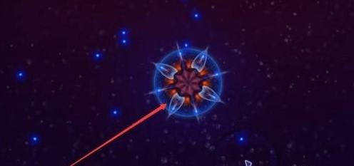 microcosmum2