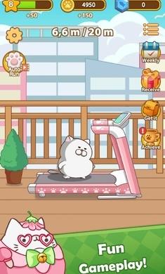 奔跑小猫1