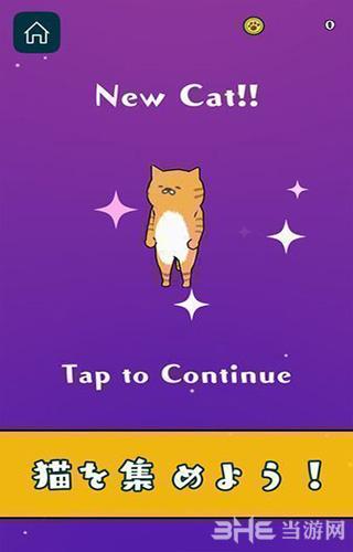 悬崖上的猫咪 安卓版V1.0.2截图0