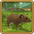 疯狂老鼠公园 安卓版v1.1.1