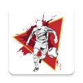 街头足球2遗产 (Street Football)安卓版v1.0.3