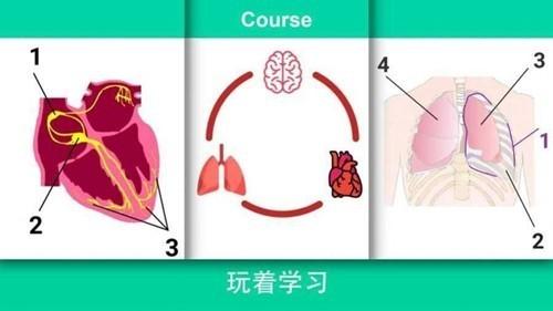 真实医疗模拟器无限金币版 安卓版v50截图0