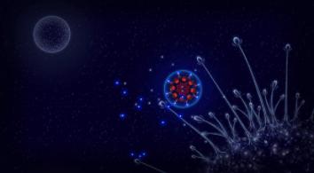 细菌大战防腐剂 (microcosmum)安卓版v4.4截图1