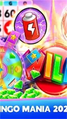 疯狂宾果截图1