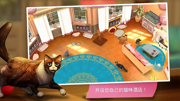 猫舍 安卓版v2.1.10截图1