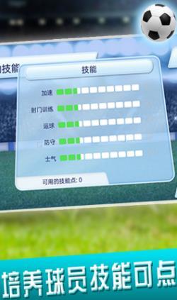 梦之队足球游戏截图0