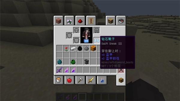 Minecraft1.19国际版图片7