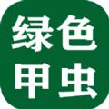绿色甲虫