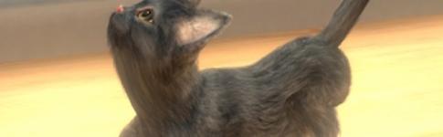 与我的猫咪1