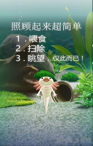 治愈的蝾螈育成游戏 安卓版v1.7截图1