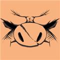 猪帝国 最新版v0.4.2