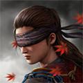 影子猎人的传说汉化 (Ryuko)无限货币版v1.0.83