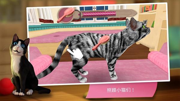 猫舍 安卓版v2.1.10截图2