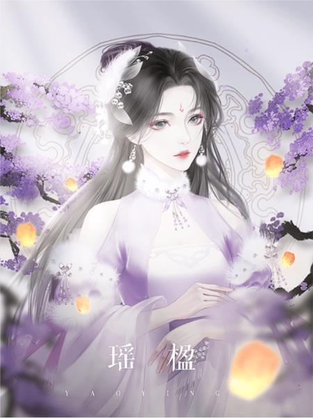 王妃记事图片5