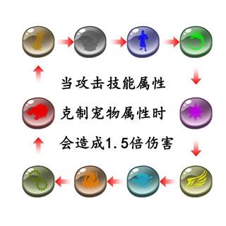 御宠达人图片5