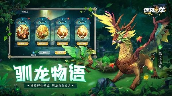 遇见龙华为渠道服 安卓客户端v4.3截图3