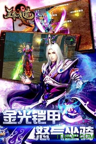 至尊战道破解版