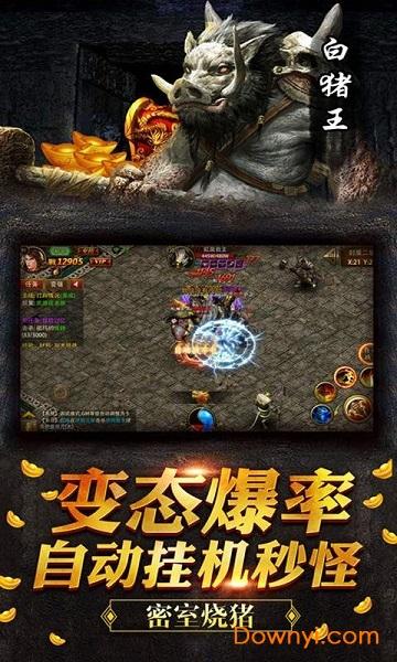 玛法英雄之星耀热血游戏截图0