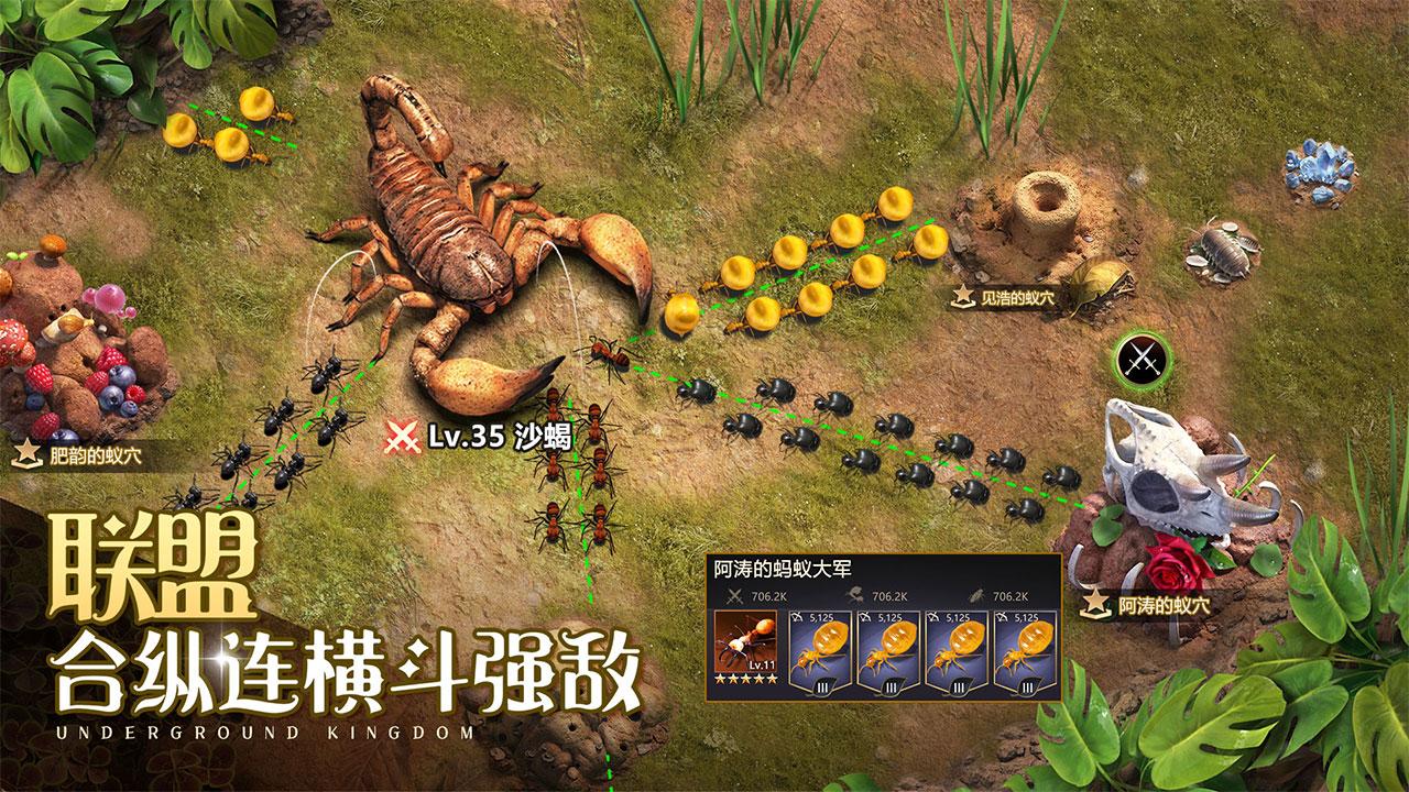 小小蚁国九游客户端1.88.0 最新版本截图0