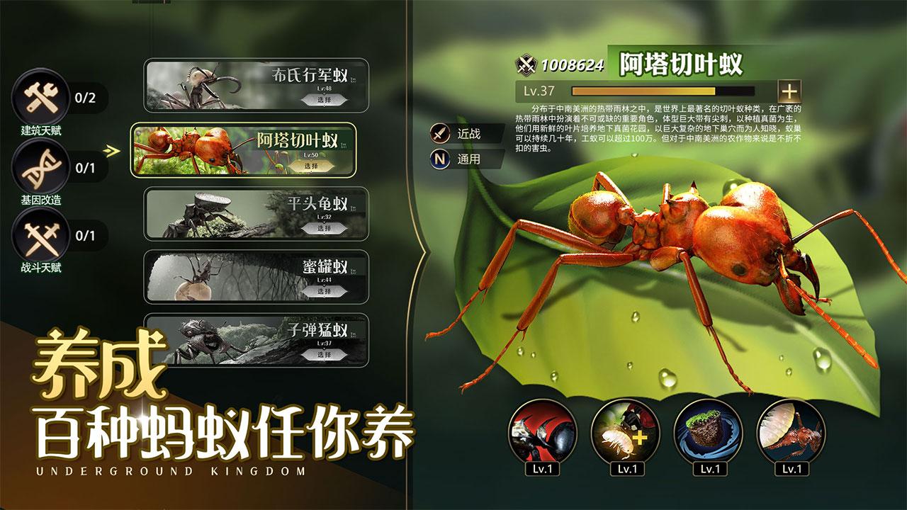 小小蚁国九游客户端1.88.0 最新版本截图3