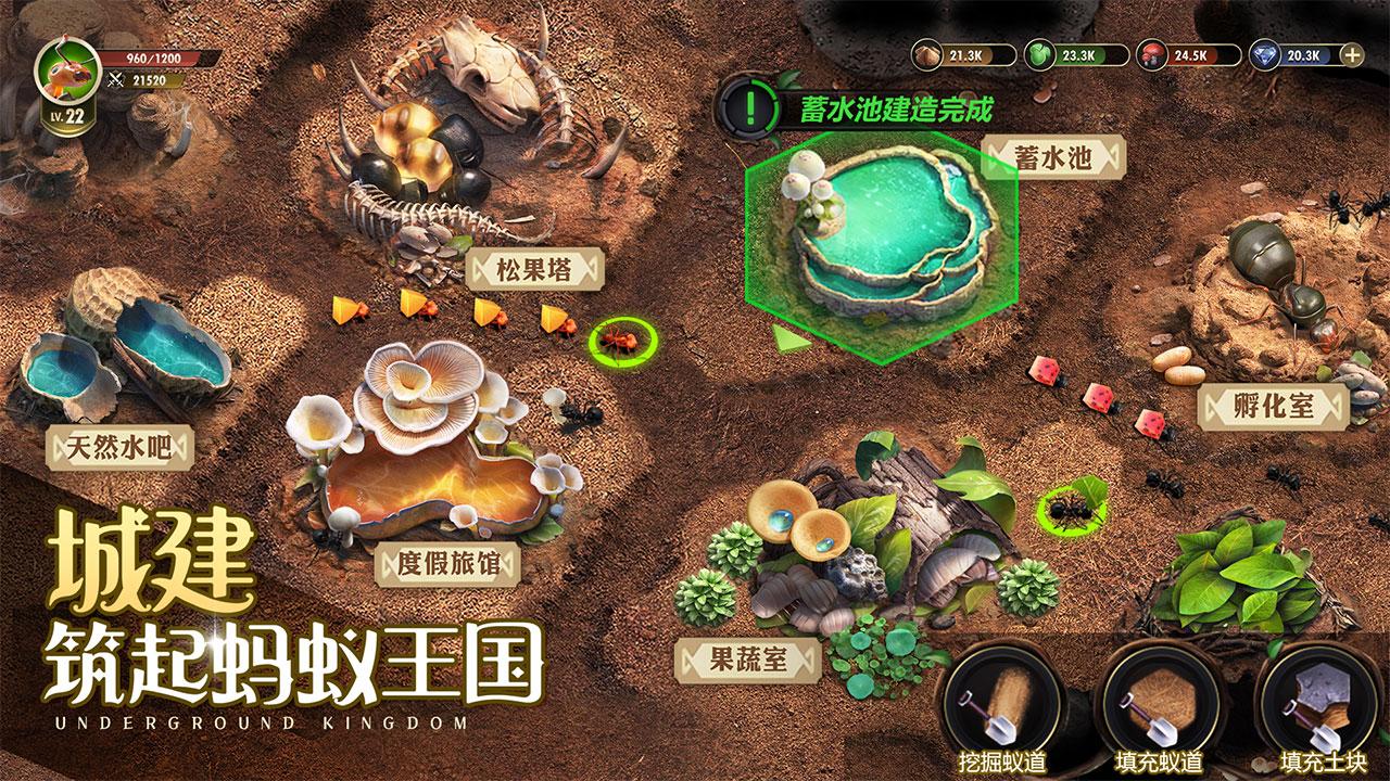 小小蚁国九游客户端1.88.0 最新版本截图2