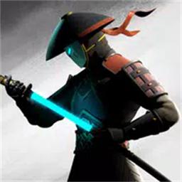 暗影格斗3国际服官方正版(Shadow Fight 3)
