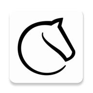 lichessorg国际象棋官方版8.0.0最新版