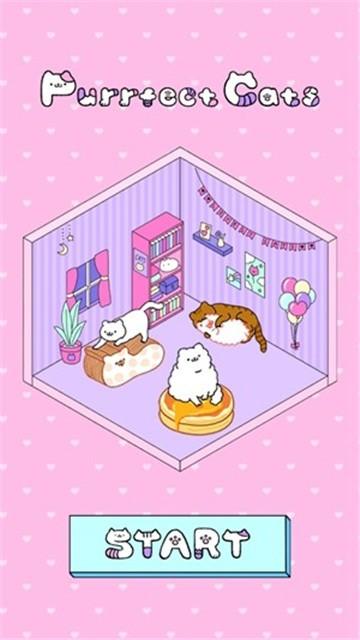 完美之猫