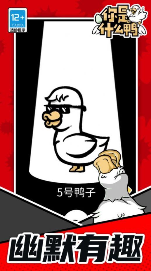 
                        你是什么鸭                    截图0