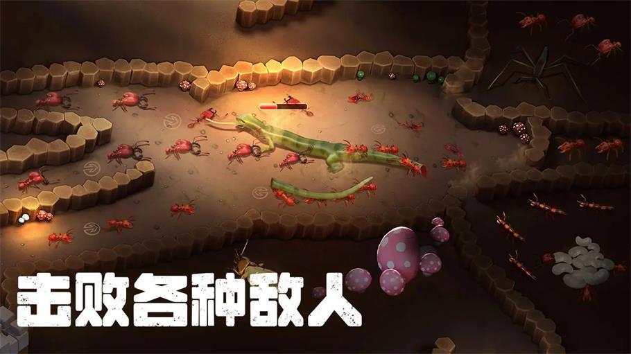 
                        蚂蚁打不过                    截图2