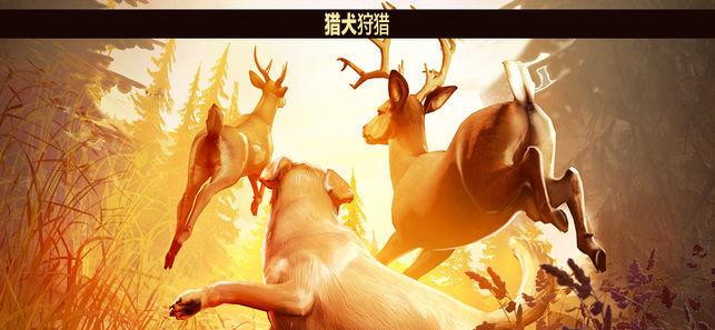 
                        猎鹿人2018                    截图0