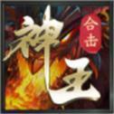
                        神王合击超变                    
