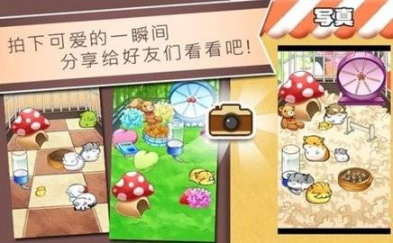 
                        仓鼠的日常生活                    截图2