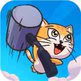 
                        猫咪抡大锤                    