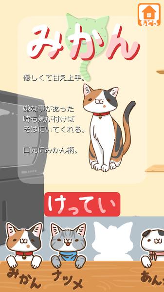 
                        至福喵咪                    截图2