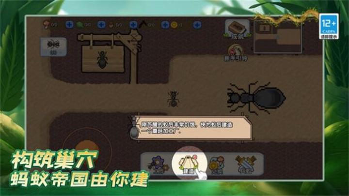 
                        蚂蚁之王                    截图2