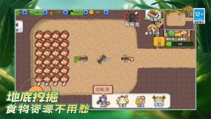 
                        蚂蚁之王                    截图0