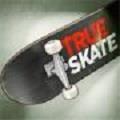 
                        TrueSkate                    